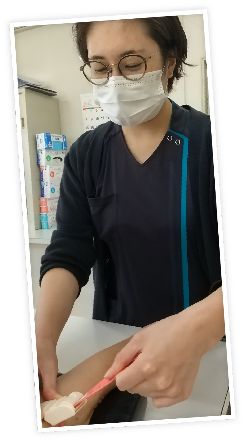 先輩の写真